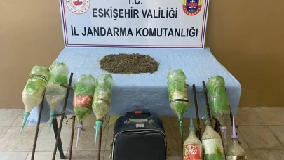 Eskişehir&#8217;de Jandarma Ormana Ekilen Uyuşturucuyu Buldu