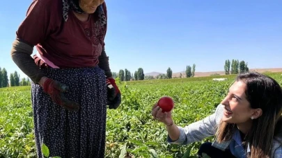 Eskişehir&#8217;de Kaymakam Eroğlu Domates Topladı