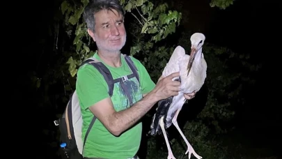 Eskişehir&#8217;de Bulunan Yaralı Leylek Ekiplere Teslim Edildi