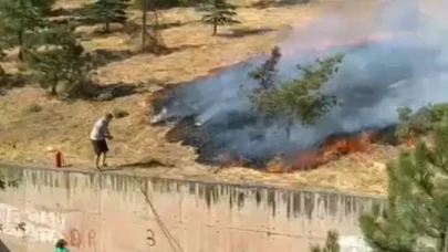 Eskişehir&#8217;de Çamlık Arazide Yangın Çıktı!