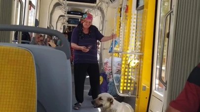Eskişehir&#8217;de Sıcaktan Bunalan Köpek Tramvayda Serinledi