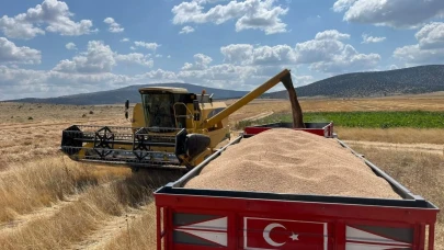 Eskişehir Çifteler İlçesinin Yüksek Verimli Hasadı