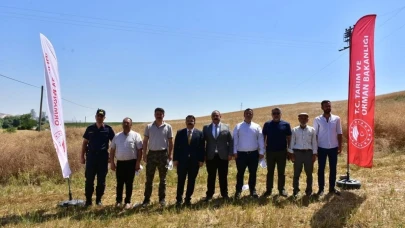 Eskişehir İnönü’de İlk Kez Kanola Hasadı