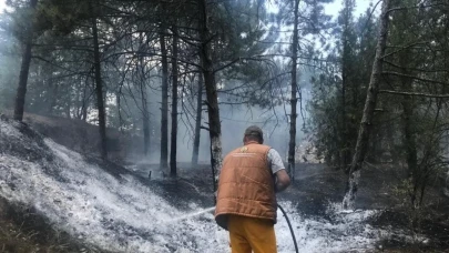 Eskişehir&#8217;de Çıkan Yangın Söndürüldü