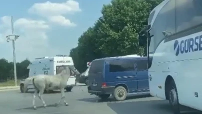 Eskişehir&#8217;de Ata Eziyet Eden Şahıs Serbest Bırakıldı!