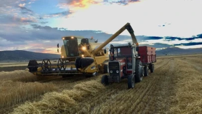 Eskişehir&#8217;de Doluya Rağmen Çiftçi Dönümden 500 Kg Verim Aldı