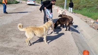 Eskişehir&#8217;de Sokak Hayvanları için Sosyal Sorumluluk Projesi