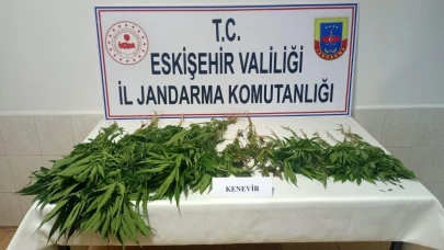 Eskişehir&#8217;de Şüphelilerden 38 Kök Kenevir Bitkisi Bulundu