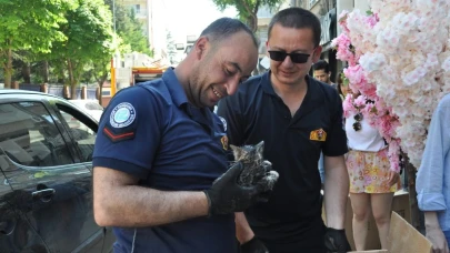 Eskişehir&#8217;de Aracın Altına Sıkışan Yavru Kedi Kurtarıldı