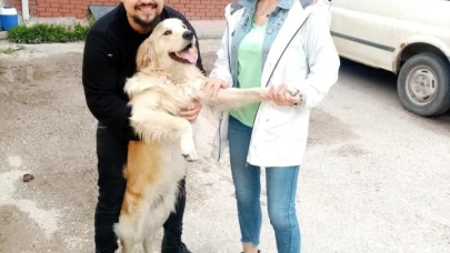 Eskişehir&#8217;de Kaybolan Köpek Çipi Sayesinde Sahibine Kavuştu