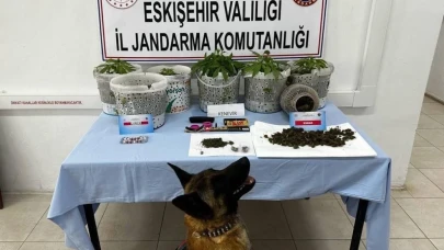 Eskişehir&#8217;de Uyuşturucuları Jandarma Köpeği Akça Yakaladı