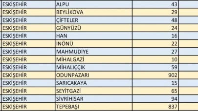 Eskişehir’de Seçmen ve Sandık Sayısı Açıklandı