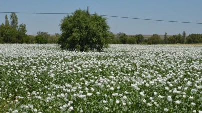 Eskişehir Günyüzü Bu Manzaraya Hasret Kaldı