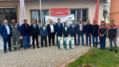 Eskişehir Beylikova Arazileri Ayçiçeği ve Sorgum Dolacak