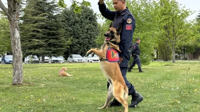 Eskişehir&#8217;de Jandarmanın Sevimli Köpekleri Şov Yaptı