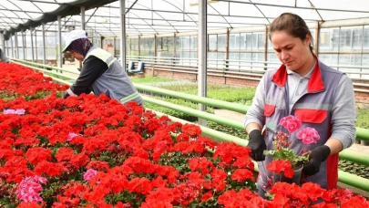 Eskişehir Tepebaşı Çiçeklerle Renkleniyor