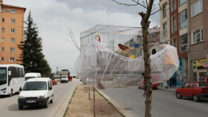 Eskişehir&#8217;de Hava Almaya Çıkan Evcil Kuş