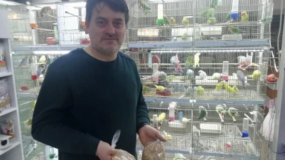 Eskişehir&#8217;deki Petshopçuların Oda Talebi