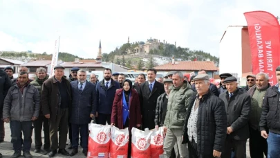 Eskişehir Seyitgazi’de Tarlalar Ayçiçeği ile Renklenecek