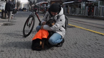 Eskişehir&#8217;de Turuncu Hırkalı Kayıp Köpek