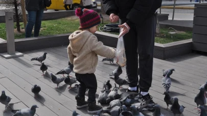 Küçük Hayvansever Görenleri Gülümsetti