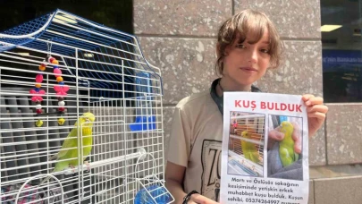 Sokakta bulduğu kuşun sahibini harçlıklarıyla bastırdığı ilanları asarak arıyor