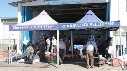 Odunpazarı Ücretsiz Kesim Yerleri Vatandaşın onayını aldı.