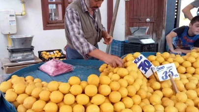 Limon Fiyatları Ağustos Ayında Düşebilir