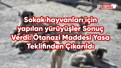 Sokak hayvanları için yapılan yürüyüşler Sonuç Verdi: Ötanazi Maddesi Yasa Teklifinden Çıkarıldı