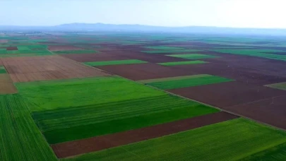 Alpu Ovası'nda Tehlike Çanları Çalıyor