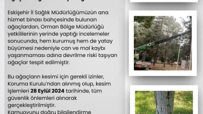 Eskişehir İl Sağlık Müdürlüğü'nden Ağaç Kesimi