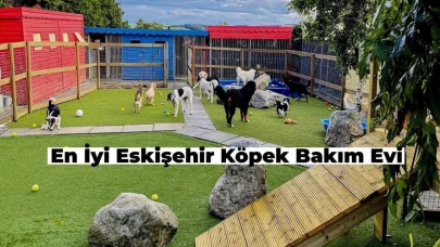 Eskişehir’in En İyi Köpek Bakım Evi Neresi?