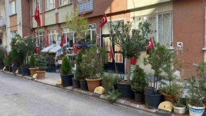 ’Sevgililer Aşıklar Parkı’ renkli görüntüsüyle dikkat çekiyor