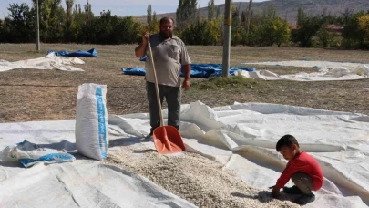(ÖZEL) Tüccarın fırsatçılığı çiftçiyi mağdur ediyor