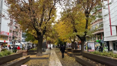 Yağmur Hamamyolu Caddesi'ni Sessizliğe Bürüdü