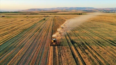 Tarım ve Orman Bakanlığı'ndan Çiftçilere 252,8 Milyon Lira Destek Ödemesi