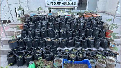 Mahmudiye’de yasaklı madde operasyonu: 1 tutuklama