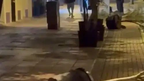 Eskişehir’de Gece Saksıları Devirerek Yürüdü
