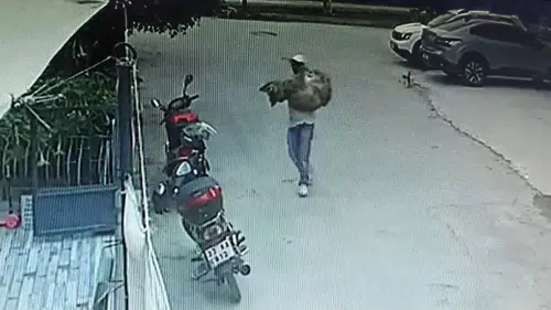 Silifke'de köpeğin üzerinden geçip duraksadılar: Sahipli hayvanın ölümüne neden olan sürücü aranıyor