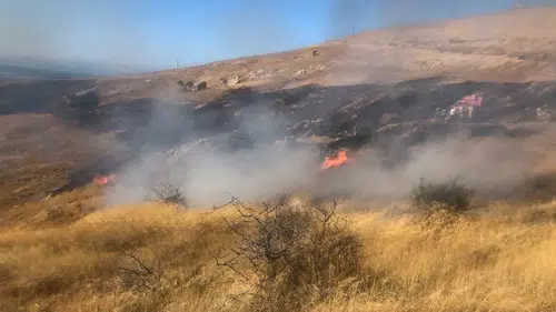 Bozcaada'da trafodan sıçrayan kıvılcımlar otluk alanı küle çevirdi