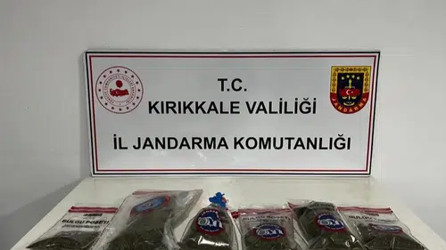 Kırıkkale'de jandarma operasyonu: Narkotik köpeği Evin bahçedeki gizli zulayı ortaya çıkardı
