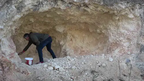 Amasya'da asırlık gelenek: Pekmez uğruna dağları deliyorlar