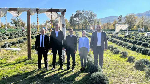 Samsun'da lavanta üretimiyle kırsal kalkınmaya kadın eli değdi