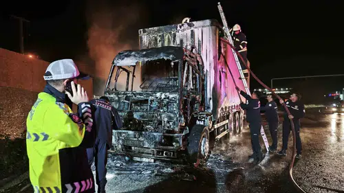 Muğla-Aydın karayolunda seyir halindeki kamyon motor kısmından çıkan yangınla küle döndü