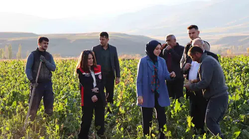 Tercan'da tarımsal üretim için yerel yönetimden saha mesaisi