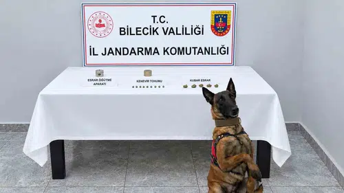Pazaryeri'nde jandarma baskını: Narkotik köpeği zulayı affetmedi