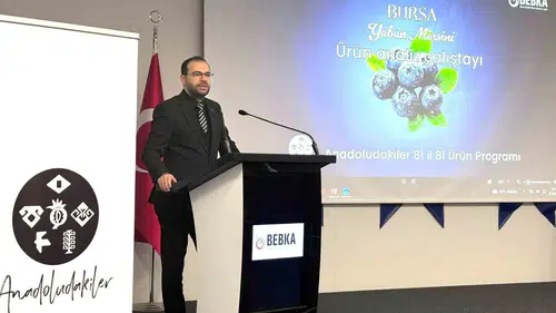 Bursa yaban mersininde stratejik hamle: Üretimden pazarlamaya yeni yol haritası