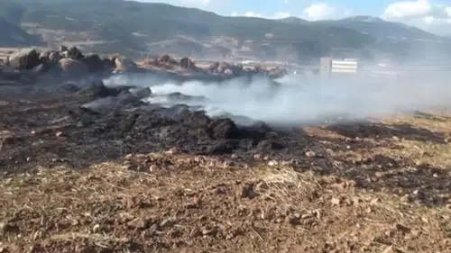 İslahiye Devlet Hastanesi yakınındaki tarlada çıkan anız yangını korkuttu