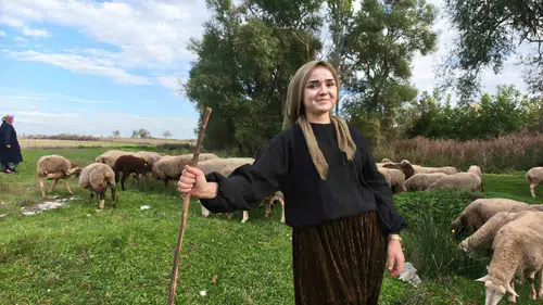 Veteriner teknikeri Sueda Demirci devlet desteğiyle hayvancılıkta başarı hikayesi yazdı