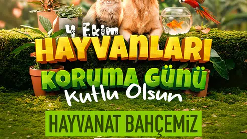 Kayseri'de 4 Ekim'e özel jest: Anadolu Harikalar Diyarı kapılarını ücretsiz açıyor